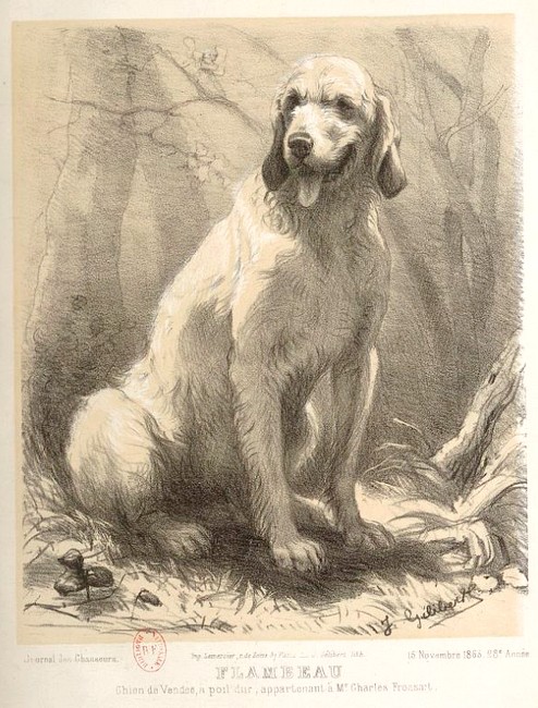 Le chien Flambeau par Jules Gélibert - Le Journal des chasseurs (1863)